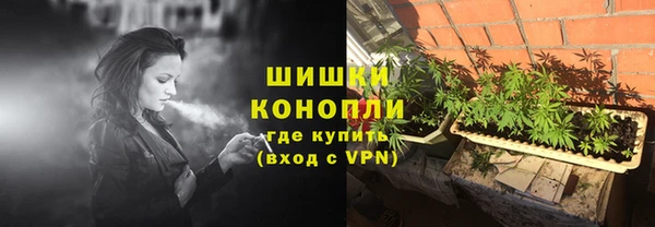 PSILOCYBIN Аркадак