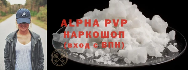PSILOCYBIN Аркадак