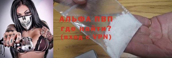 PSILOCYBIN Аркадак