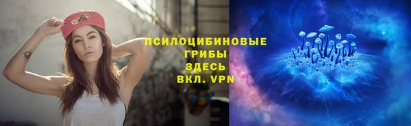 PSILOCYBIN Аркадак