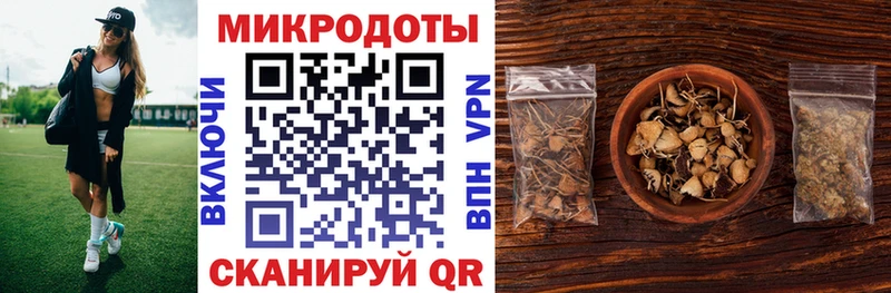 Псилоцибиновые грибы Psilocybe  купить наркоту  Руза 